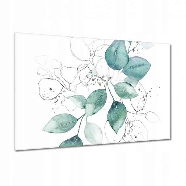 Obrazy 120x80 Eucalyptus stříbrný