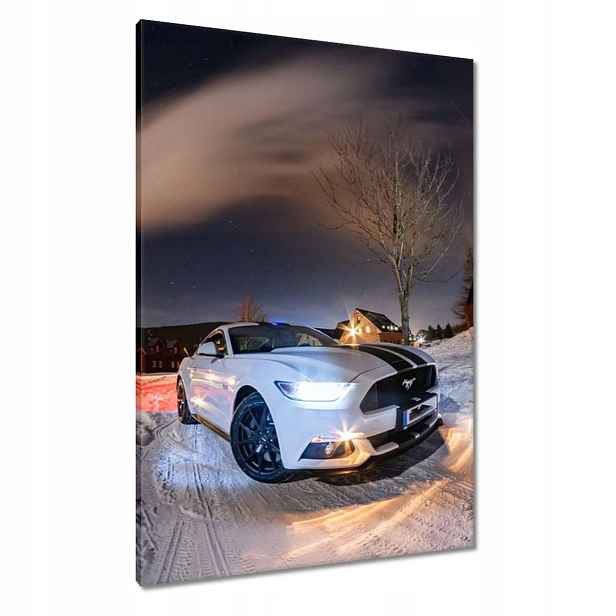 Obrazy 70x100 Bílý Ford Mustang v zimě