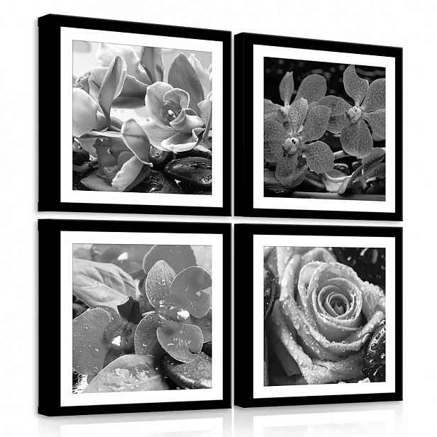Obraz Na Plátně Canvas 50x50 Květy Růže Orchidej