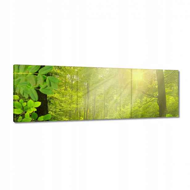 Obrazy 120x40 Kouzelný les Paprsky