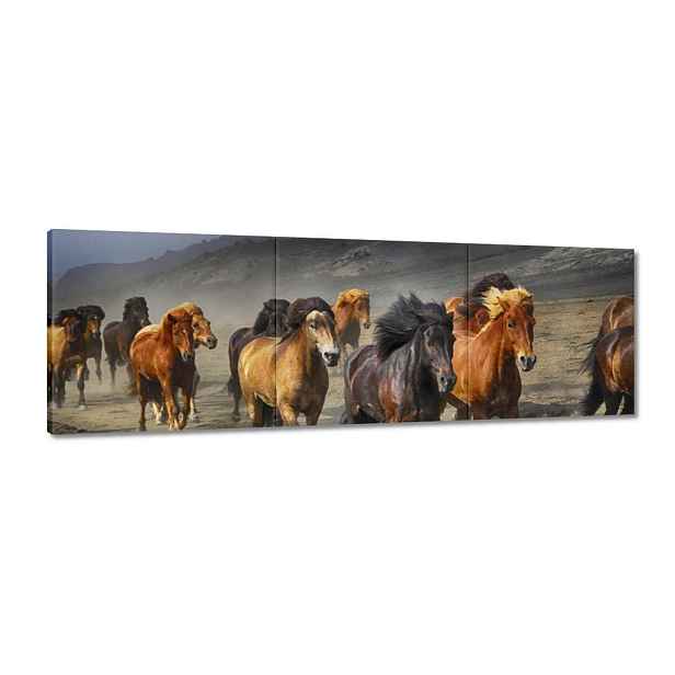 Obrazy 120x40 Stádo divokých koní