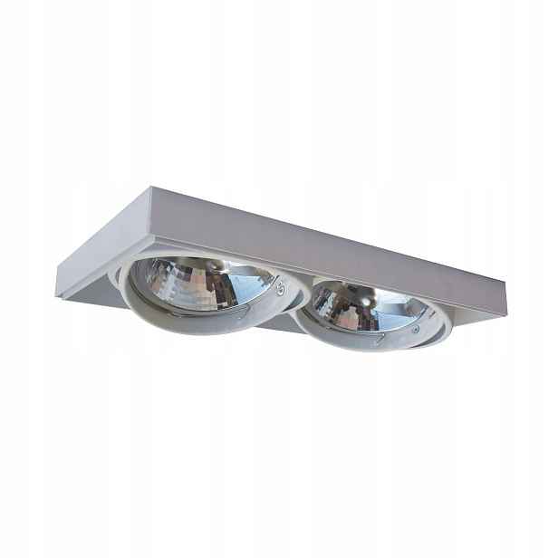 Bodové svítidlo Zuma Line 94364-WH Oneon DL 111-2