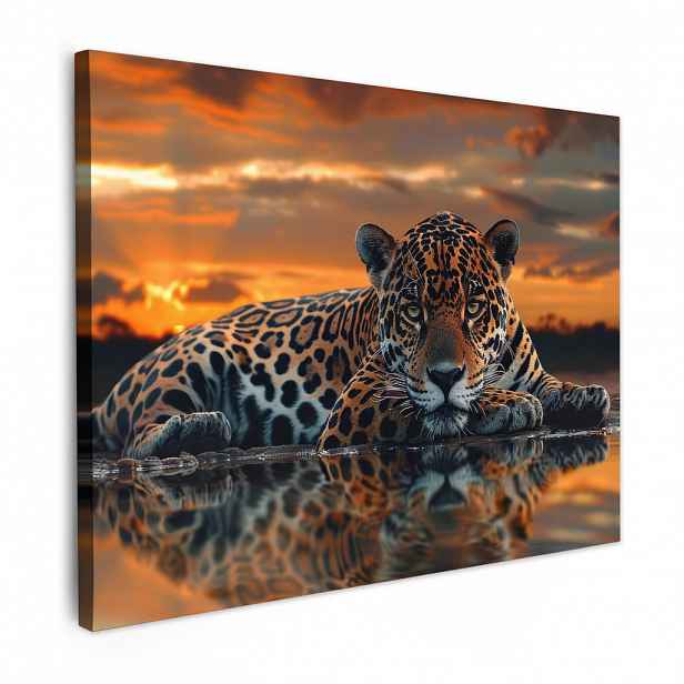 MuchoWow OBRAZ NA PLÁTNĚ Příroda - Leopard - Zvíře - Západ slunce - Moderní 40x30 cm