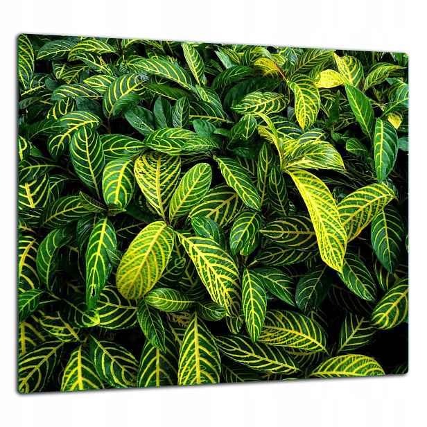 Skleněná Ochranná Deska Panel Lepidlo 65x60 Zelená