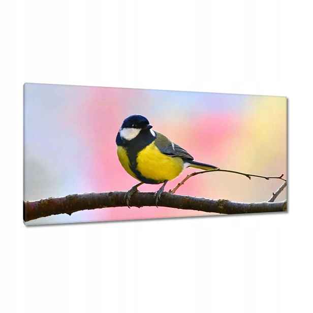 Obrazy 115x55 Žlutý ptáček