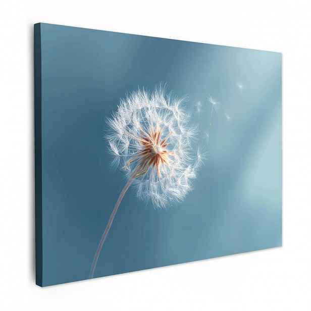 MuchoWow OBRAZ NA PLÁTNĚ Pampeliška - vítr - modrá 40x30 cm