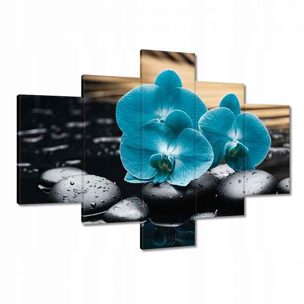 Obrazy 100x70 Tyrkysový orchidej Květina