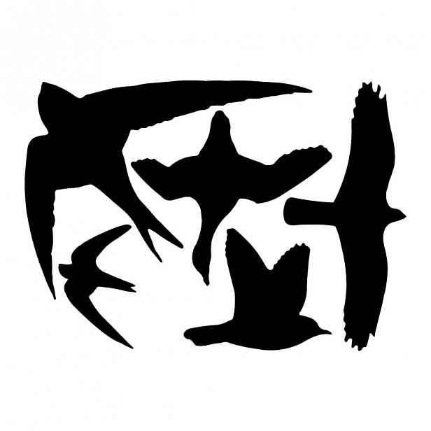 Sada černých okenních samolepek Esschert Design Birds