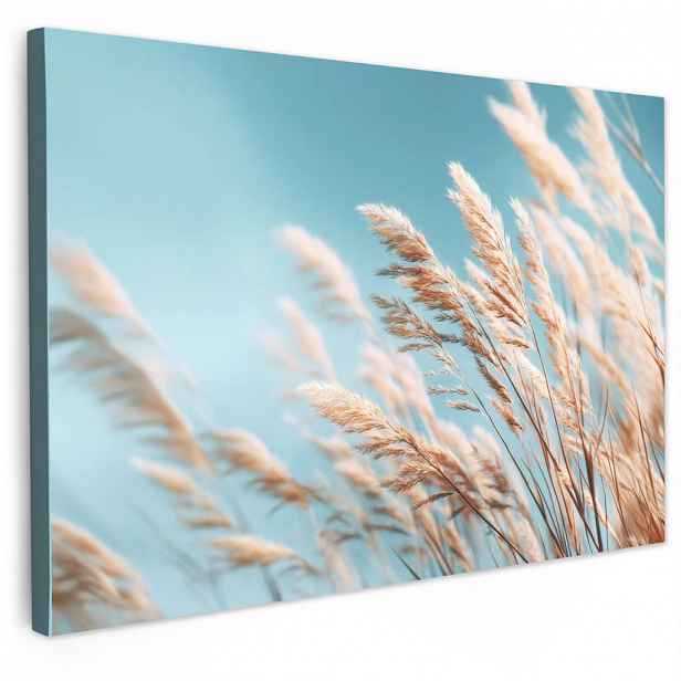 MuchoWow OBRAZ NA PLÁTNĚ Okrasná tráva - Vítr - Světle hnědá 30x20 cm