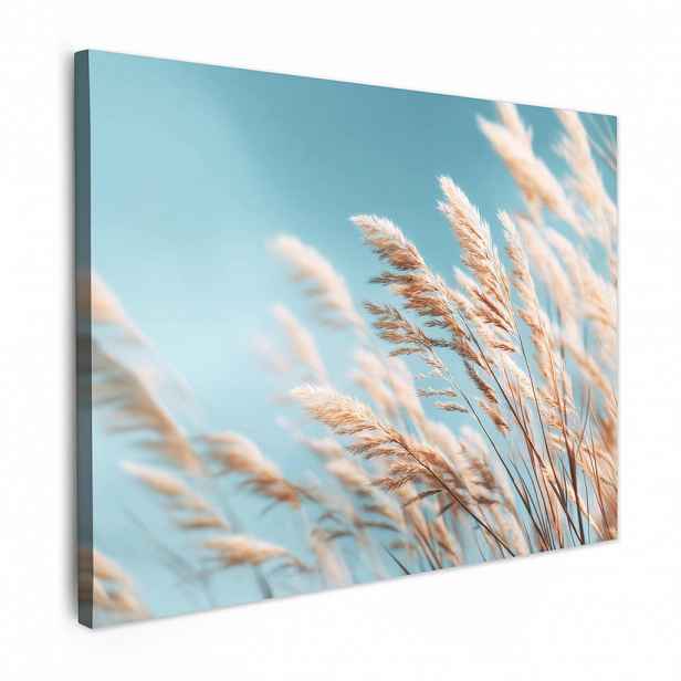 MuchoWow OBRAZ NA PLÁTNĚ Okrasná tráva - Vítr - Světle hnědá 80x60 cm