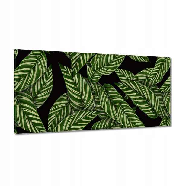 Obrazy 115x55 Zelené listy Tropiky