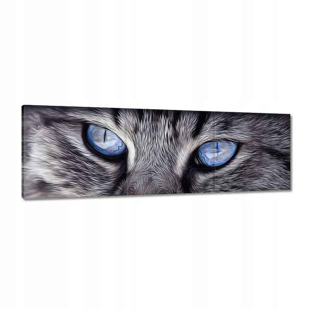 Obrazy 120x40 Kočka Kočky Kočka