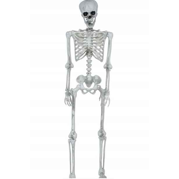 Dekorace Umělá Kostra 145 CM Kostlivec Skeletor Halloween