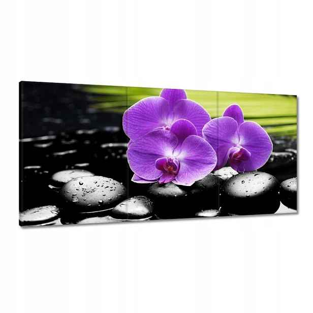 Obrazy 180x90 Fialové orchideje