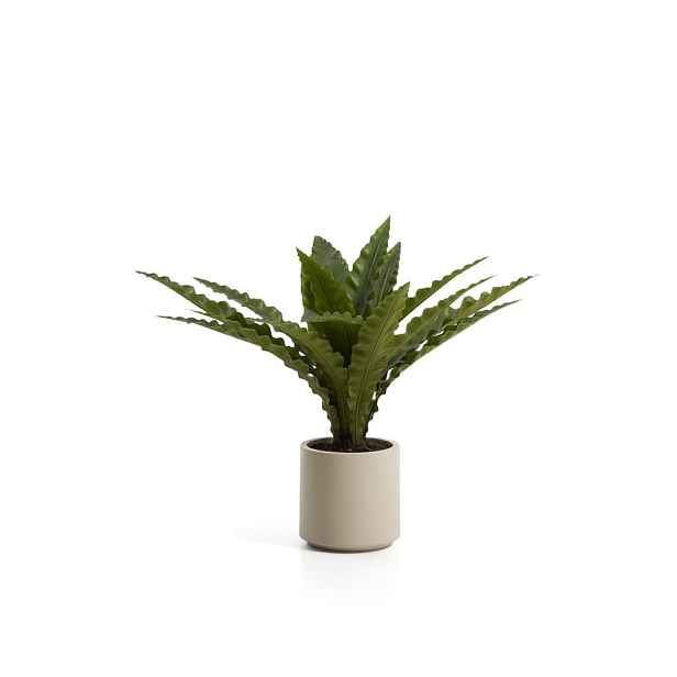 Umělý sukulent (výška 70 cm) Neottopteris – Kave Home