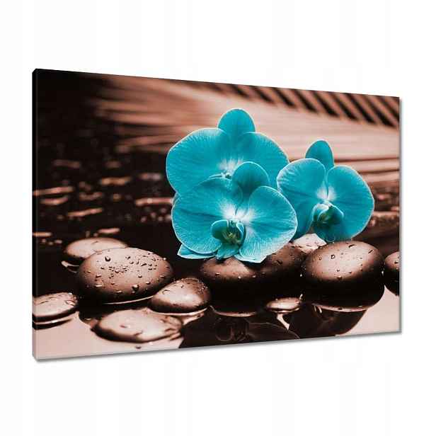 Obrazy 100x70 Tyrkysový orchidej