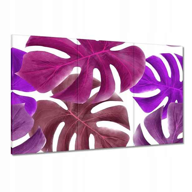 Obrazy 120x80 Monstera Listy Fialová