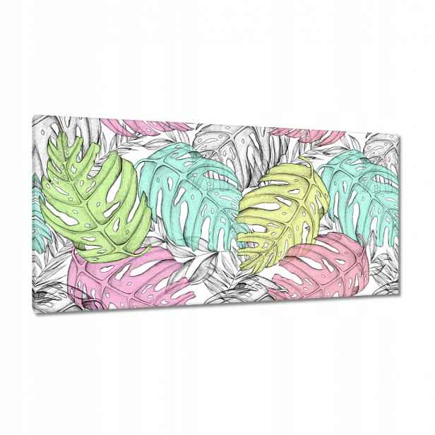 Obrazy 115x55 Monsterální jemnost