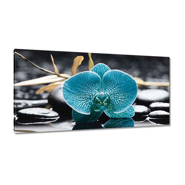Obrazy 115x55 Tyrkysový orchidej Květina