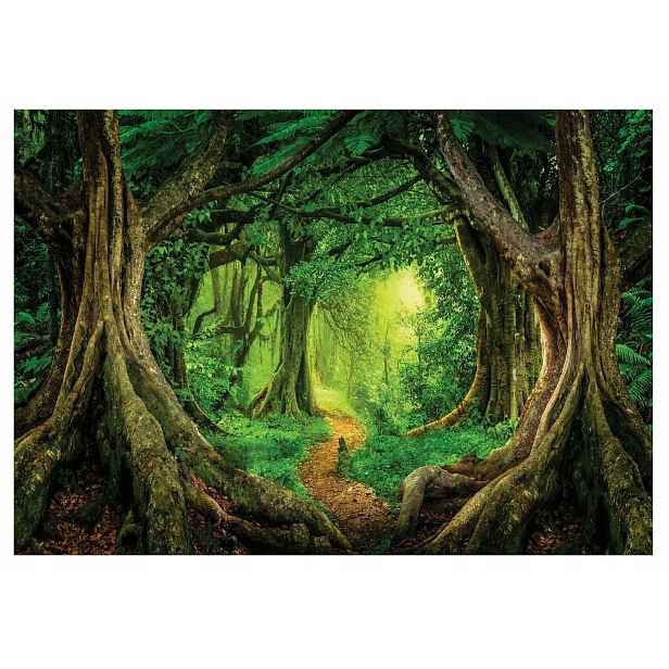 Fototapeta Les Stromy 3D Příroda Krajina 416x254