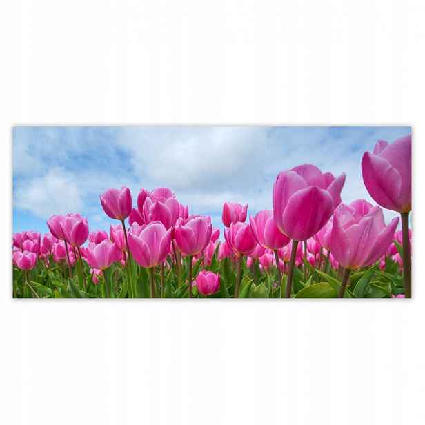 Fototapety 211x91 Tulipány na Valentýna