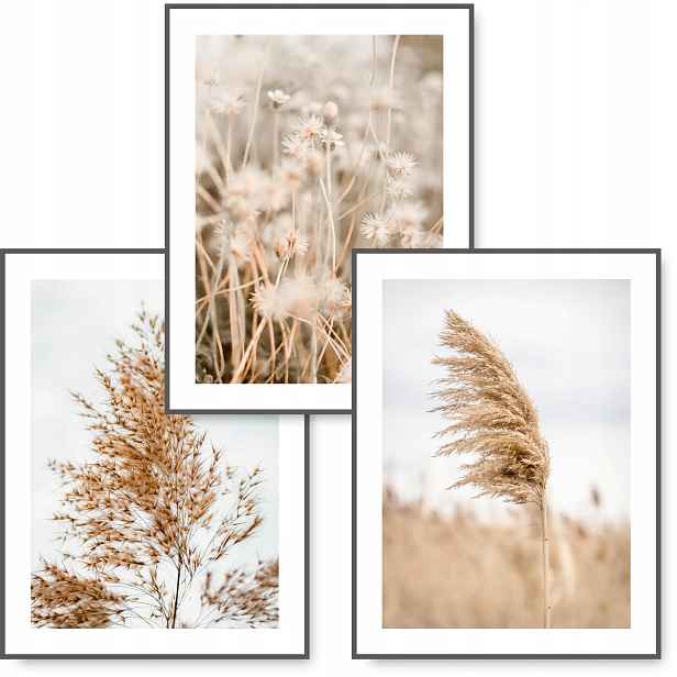 Boho sada 3 plakátů A1 84x59,4 Tráva Béžová #12
