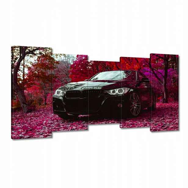 Obrazy 150x80 Černé Bmw Podzim
