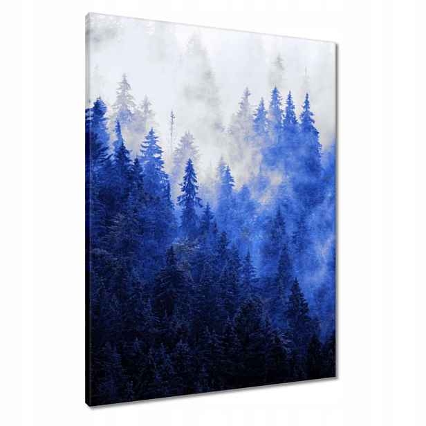 Obrazy 60x80 Modrá krajina Hory