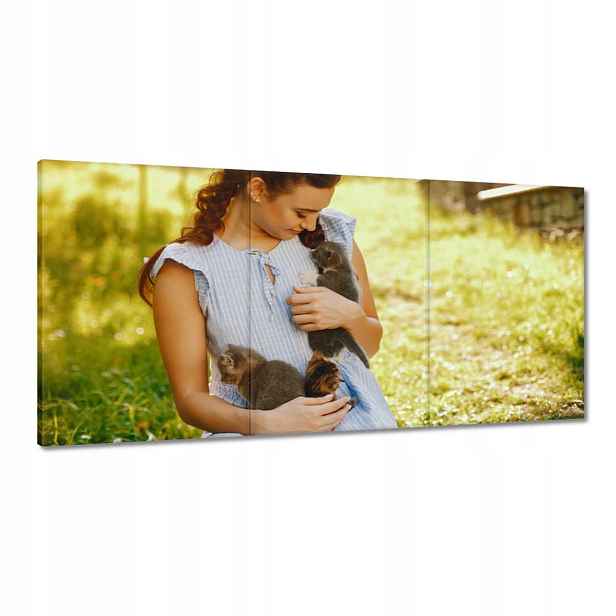 Obrazy 120x60 Kočka Kotě Kočičky Kočička