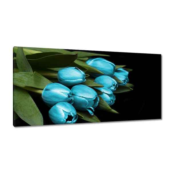 Obrazy 115x55 Tyrkysové tulipány Květina