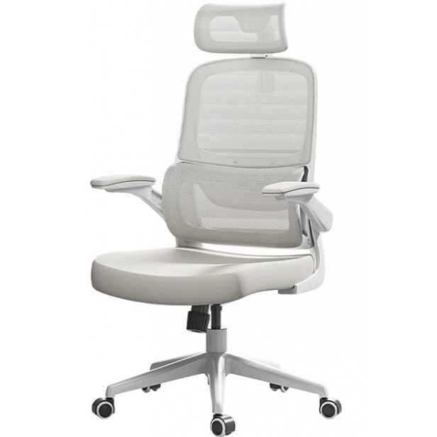 Kancelářská Židle Ergonomická Herní Židle Šedá Hbada