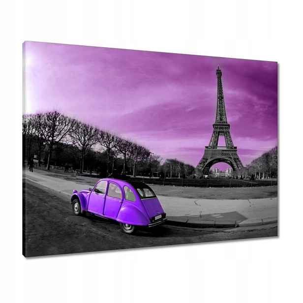 Obrazy 80x60 Fialový Citroen