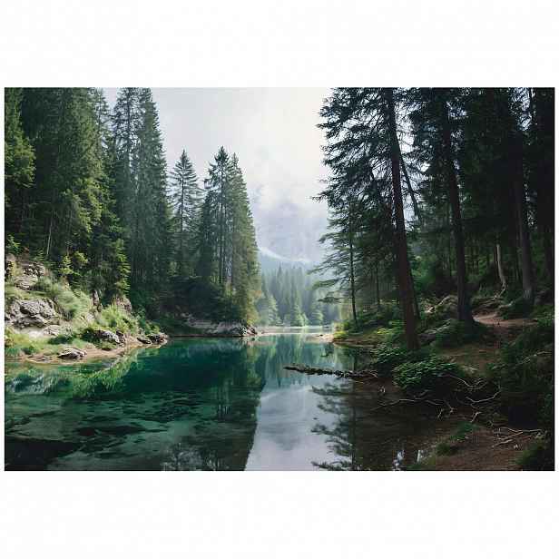 Wallarena FOTOTAPETA les stromy zelená 200x140 cm