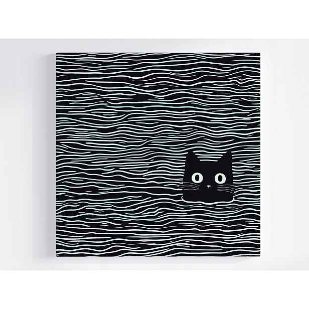 Obraz Na Plátně Obraz Na Plátně Grafika Minimalismus Vlny Černá Bílá B&w Kočka 50x50