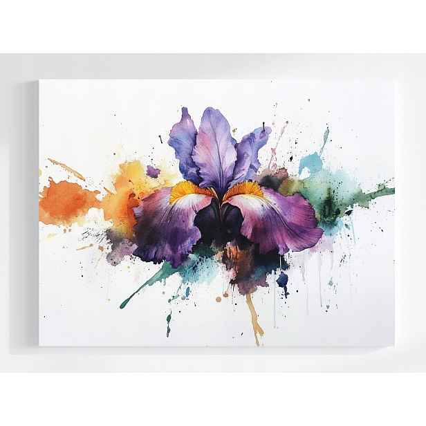 Obraz Na Plátně Canvas Akvarel Příroda Květ Fialový Irys Splash 80x60