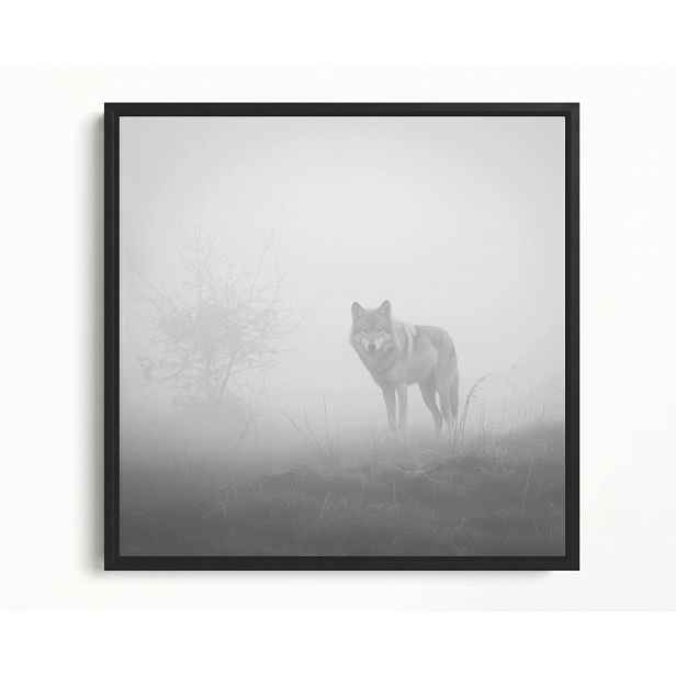 Obraz Rám Americký Box Příroda Vlk Mlha Dravec Šedá Příroda 60x60