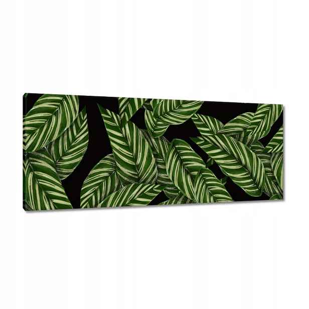Obrazy 100x40 Zelené listy Tropiky
