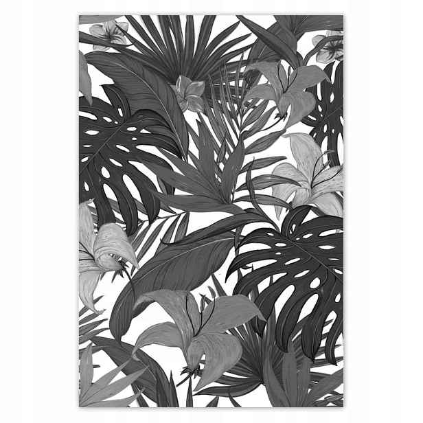 Plakáty 135x200 Černobílá monstera