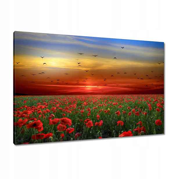 Obrazy 90x60 Krajina Pohled