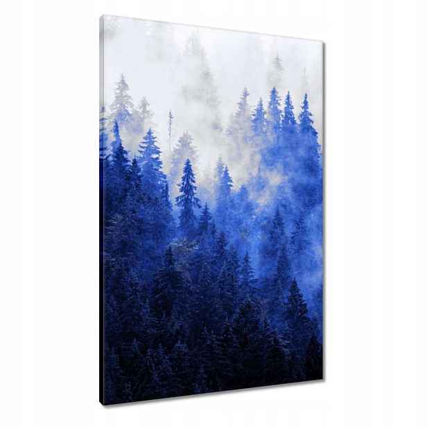 Obrazy 60x90 Modrá krajina Hory