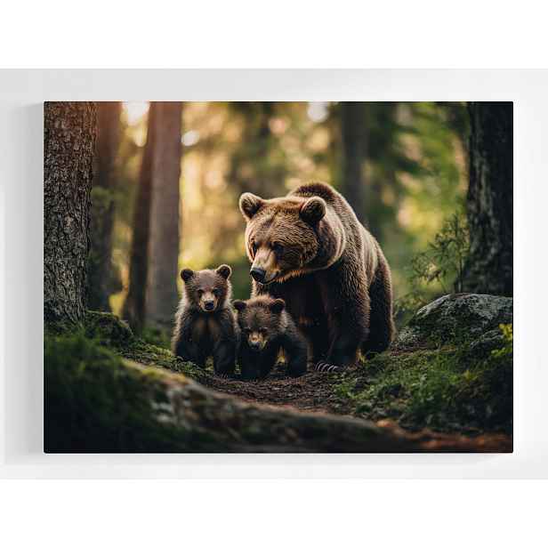 Plakát Příroda Les Medvěd Medvídek Máma Mládě Rodina 100x75