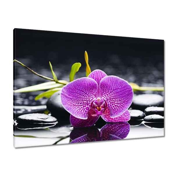 Obrazy 100x70 Fialová orchidej