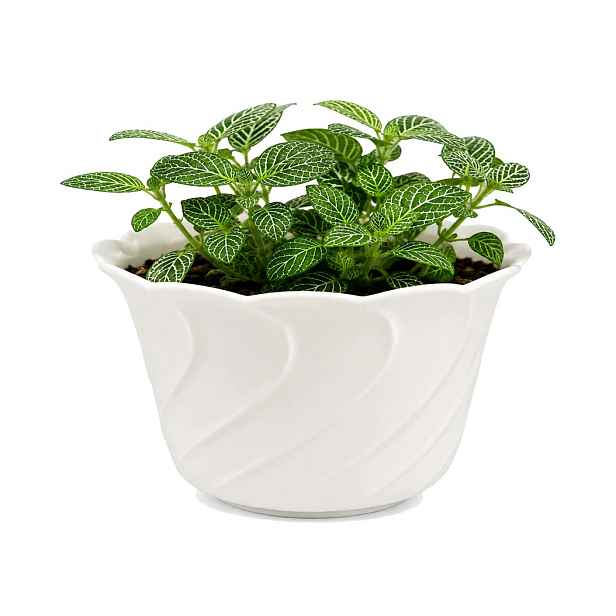Květináč kulatý 7,5 cm x 5,5 cm plast bílý, šikmý vzor 100 ks