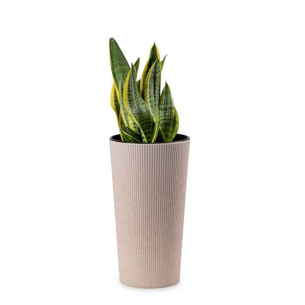 HowHomely Květináč URBANIKA ECO Wood 36,4x19,6 cm bílý