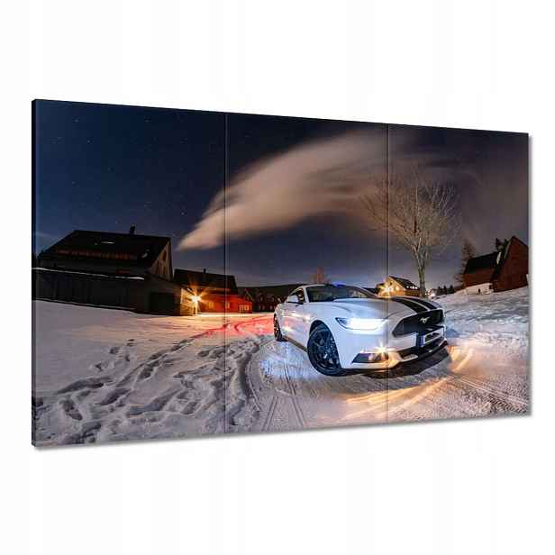 Obrazy 120x80 Bílý Ford Mustang v zimě
