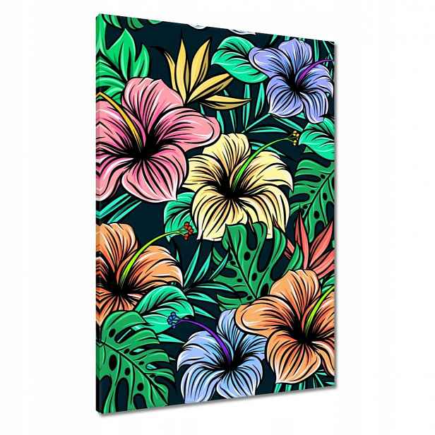 Obrazy 70x100 Monstera Zelený list