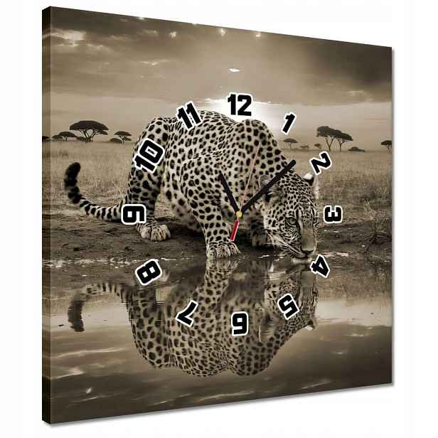 Hodiny 40x40 Gepard Tygr Zvířata Obývací Pokoj