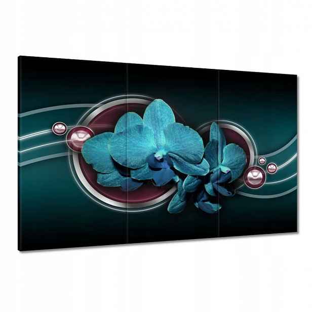 Obrazy 120x80 Modrý orchidej