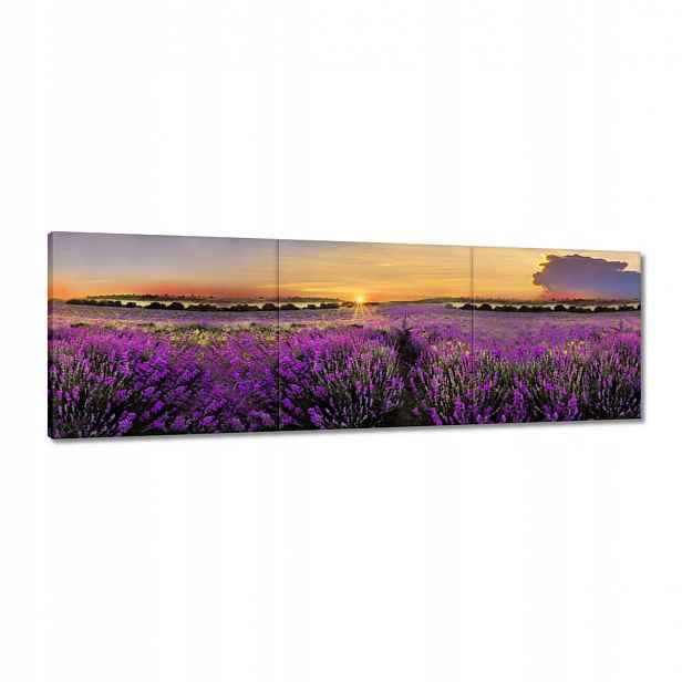 Obrazy 120x40 Levandule Západ slunce