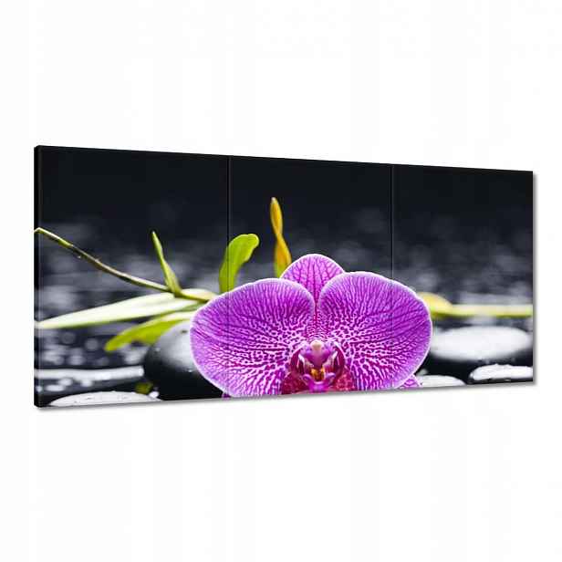 Obrazy 120x60 Fialová orchidej